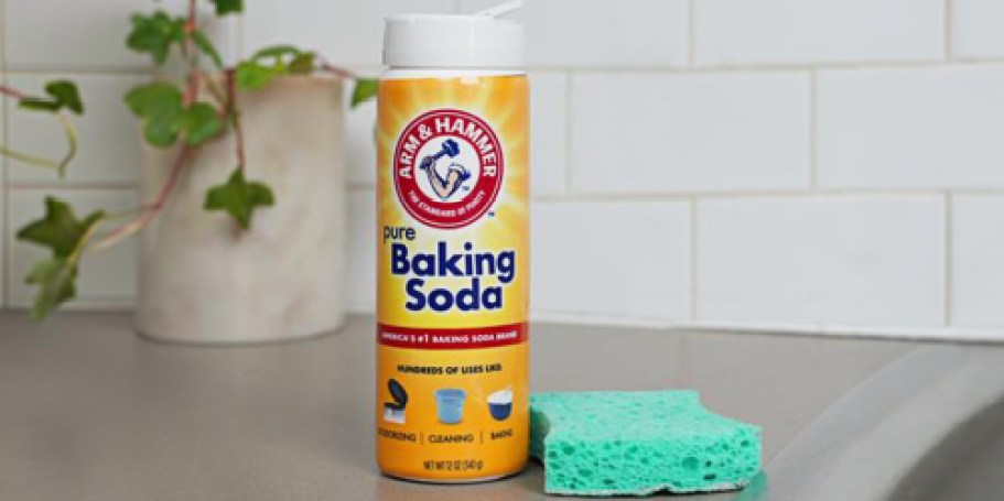 Arm & Hammer Baking Soda 12oz Shaker 6-Pack Just $8.35 Shipped on Amazon (Reg. $17)