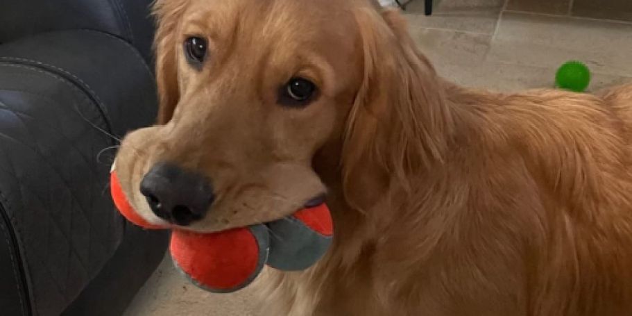 Buy 1, Get 1 50% Off Chuckit Balls on Amazon | TWO 3-Packs Only $9.80 Shipped