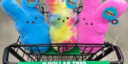 Dollar Tree Easter Decor & More Available Now for Just $1.25