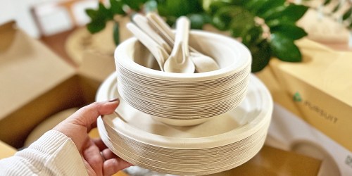 Rare 25% Off Pursuit Eco-Friendly Disposable Tableware on Amazon (Compostable, Plastic-Free, & Zero-Waste!)