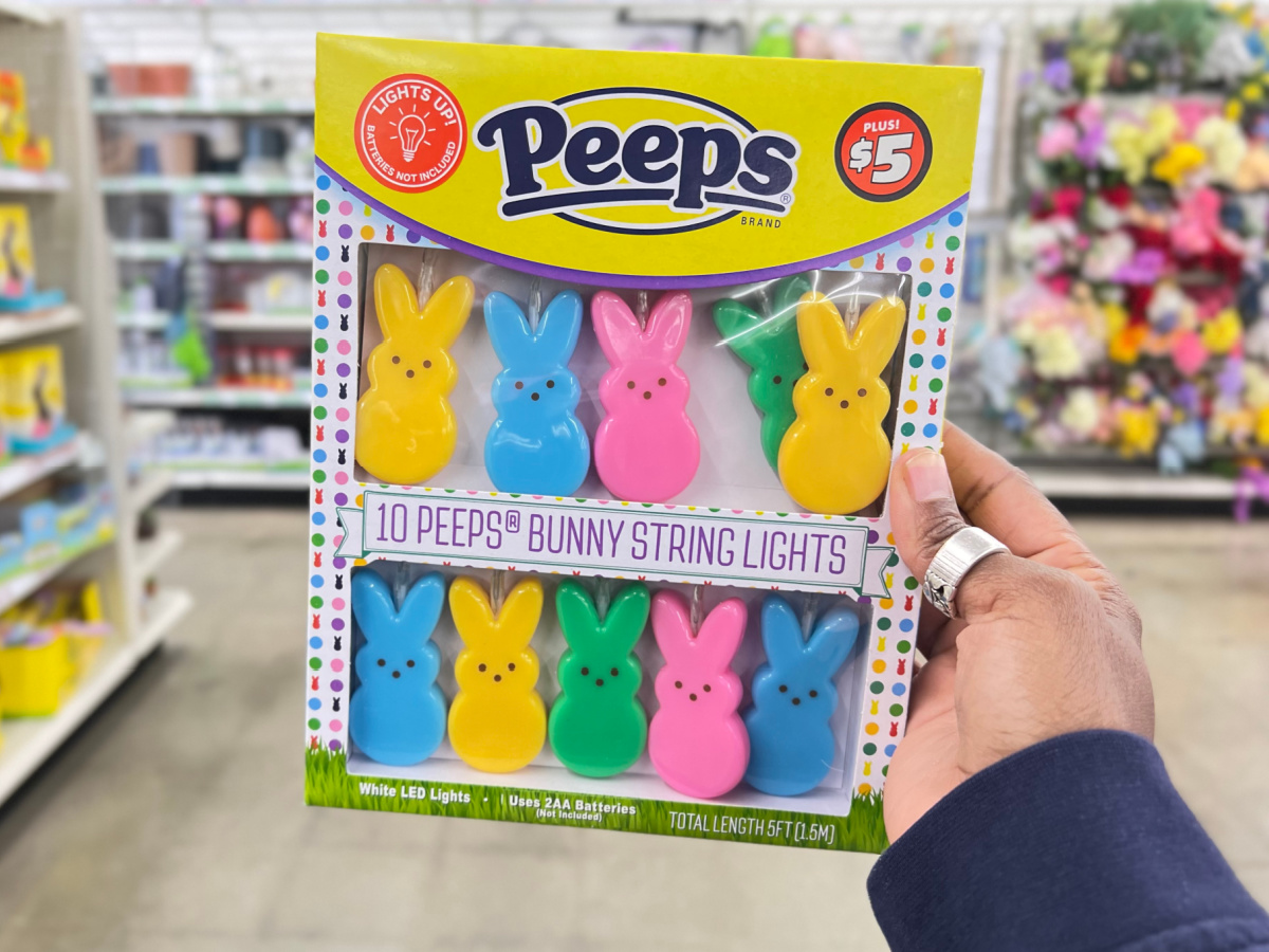 hand holding peeps string LED lights in store