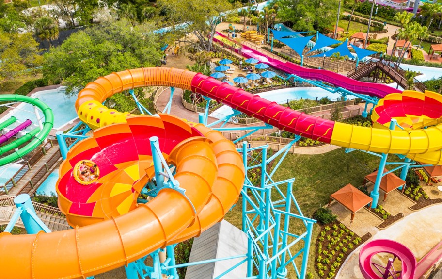 large colorful water slides at Adventure Island park