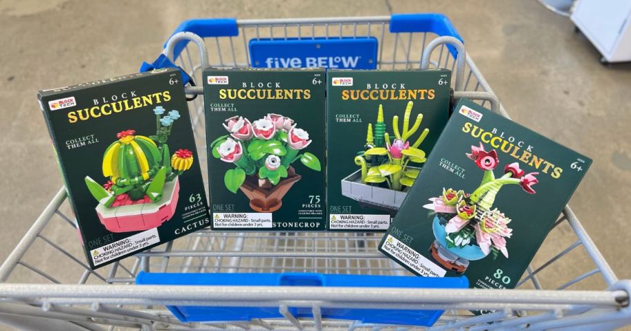 4 Block Tech Succulent kits in a cart at five Below