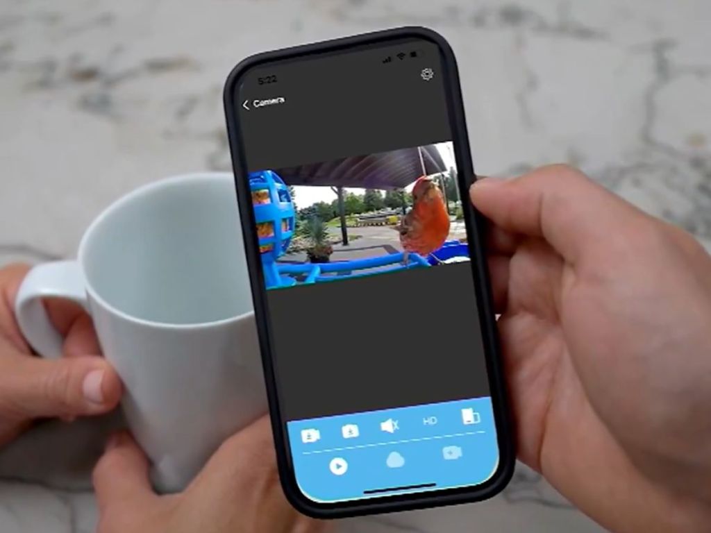 hand holding a smart phone that's playing a live video of a bird at their Hello Birdie bird feeder, other person's hands holding a coffee cup behind the phone