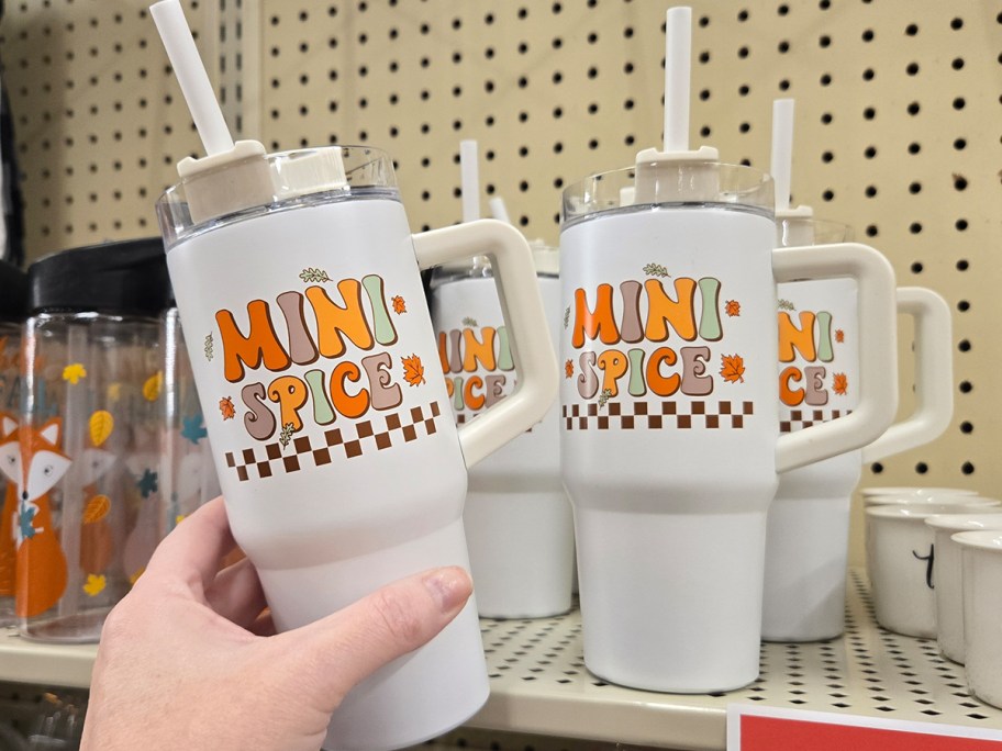 Mini Spice Kids Tumbler at hobby lobby
