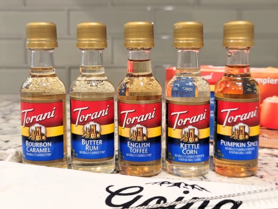 Torani Mini Syrup Fall Flavors Sampler 5-Pack
