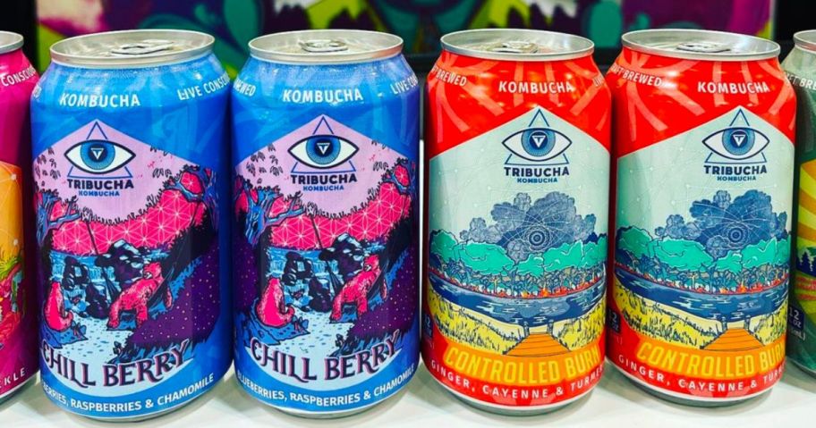 Tribucha Kombucha Cans