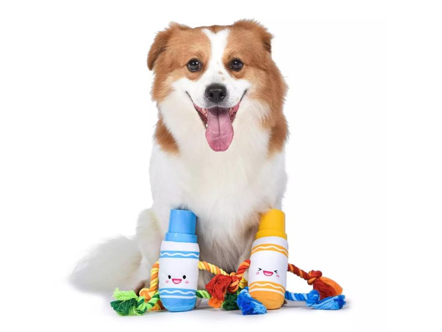 dog sitting with Crayola Marker Rope Plush Squeaker Pet Toy Combo Set