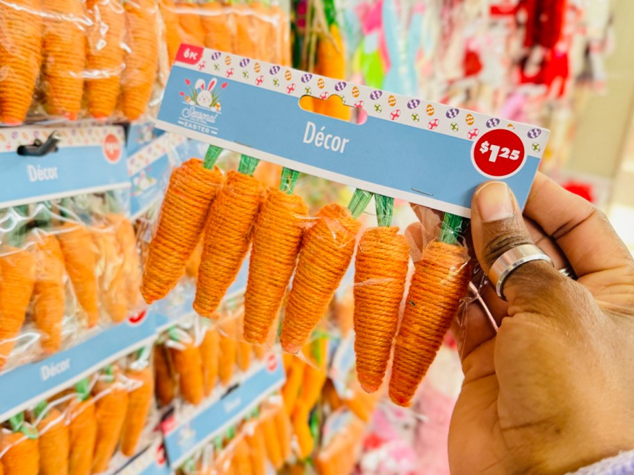 hand holding 6 ct carrot decor set 