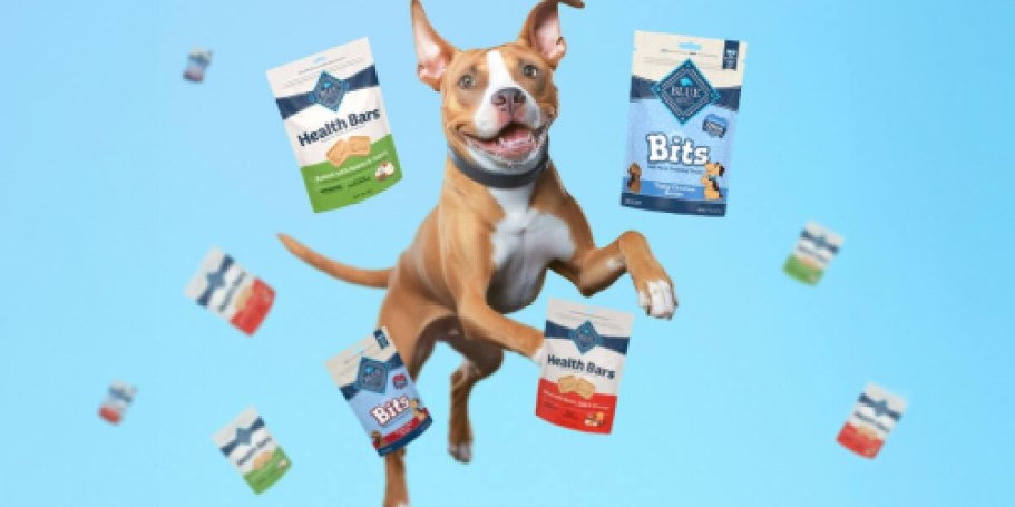 FREE Blue Buffalo Dog Treats After Rebate | Save up to $15!