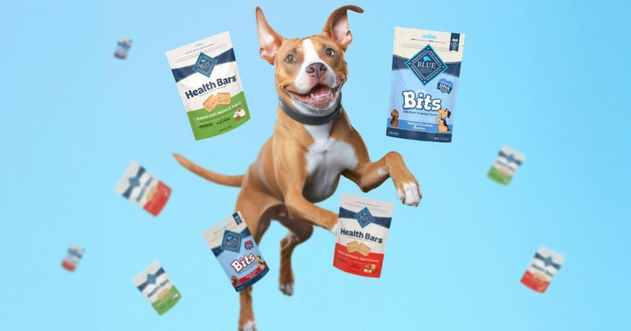 Blue Diamond Dog Treats