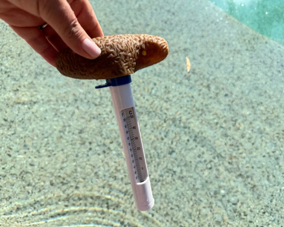 Hand holding up a fake poop pool thermometer over a swimming pool