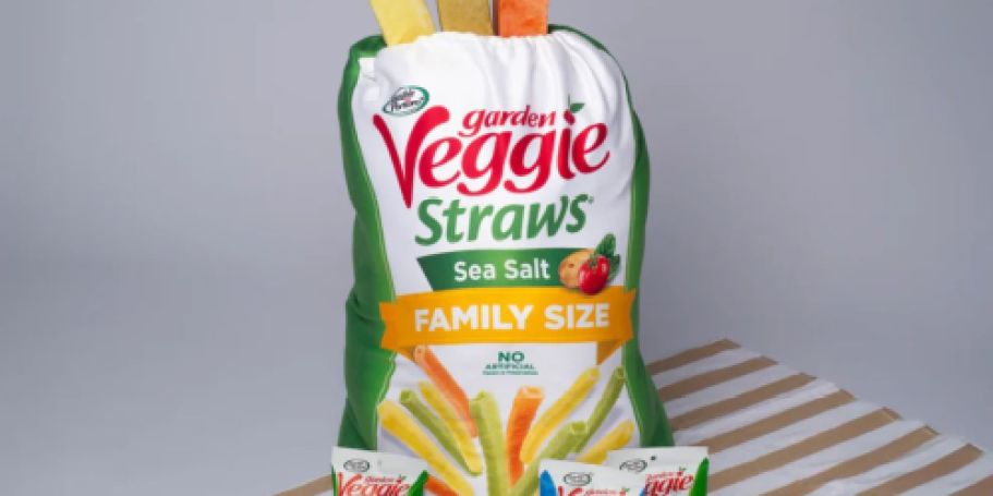 Sensible Portions Garden Veggie Splash Pack Just $5.99 Shipped – Will Sell Out!