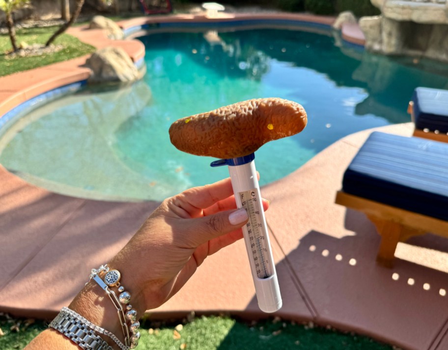 hand holding up a pool thermometer that looks like poop thermometer