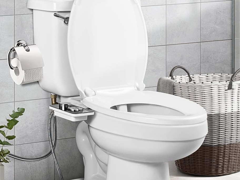 toilet with a bidet attachment