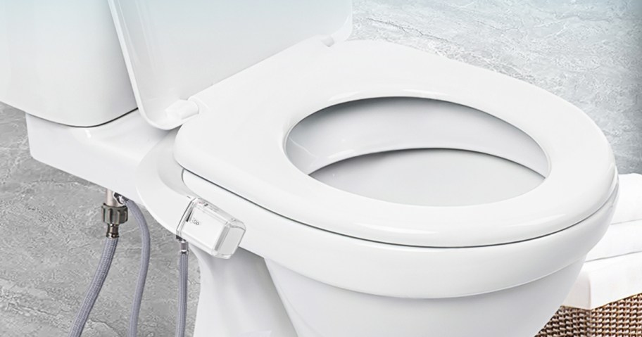 toilet with a bidet attachment