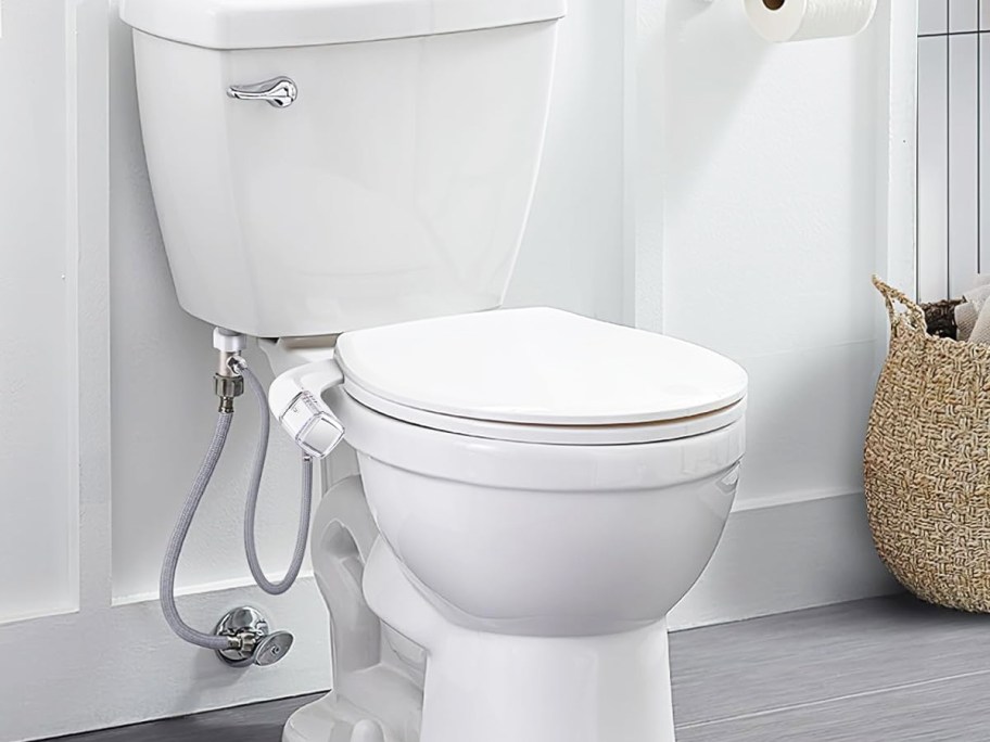 toilet with a bidet attachment
