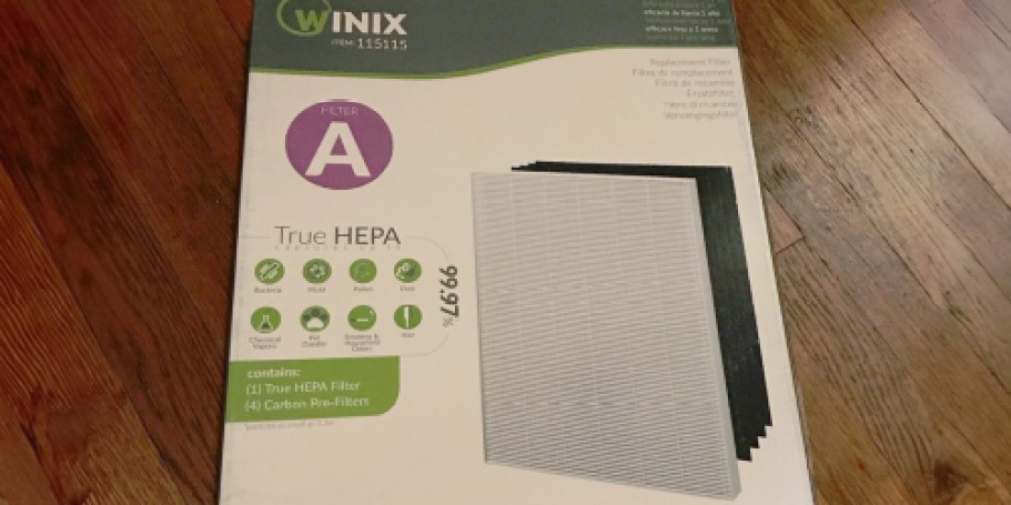 Winix Air Purifier Replacement Filter Just $34.92 on Amazon (Reg. $80)