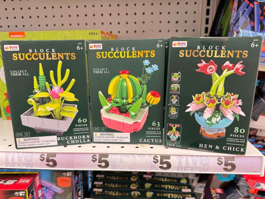 Block Tech® Succulents Block Set on shelf