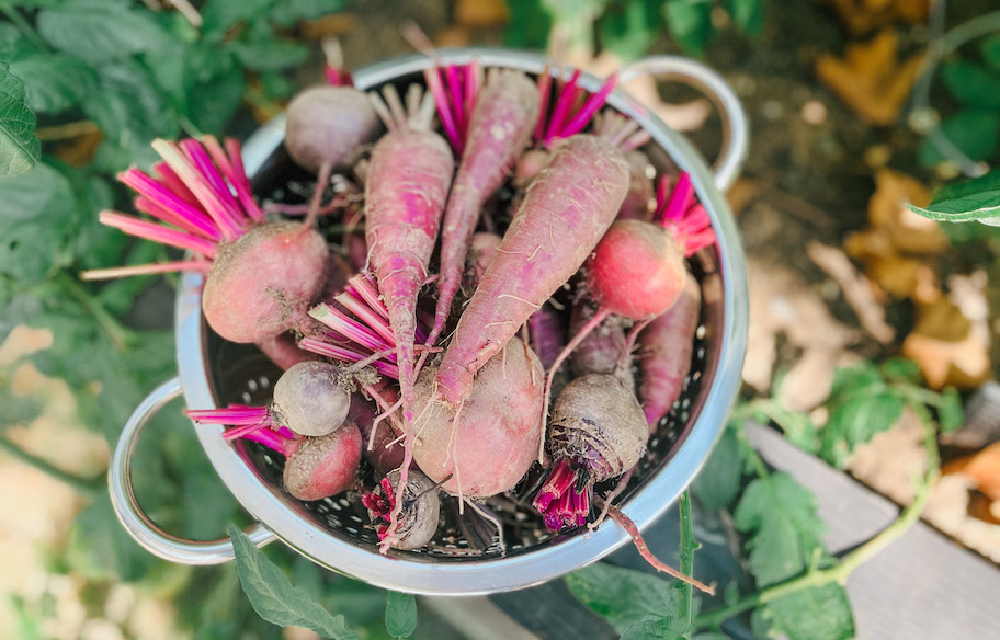 silver strainer filled with radishes beets and purple carrots