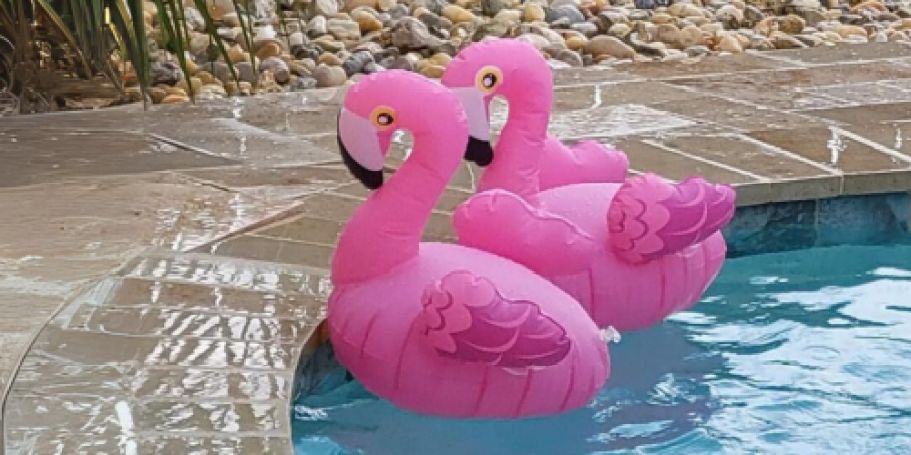 Brighten Up Your Yard with These Flamingo Pool Lights | 2-Pack Only $11.49 on Amazon!