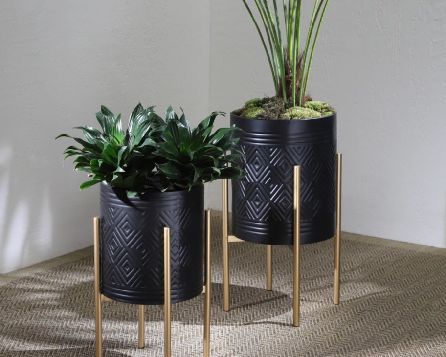 black planters on gold legs with plants