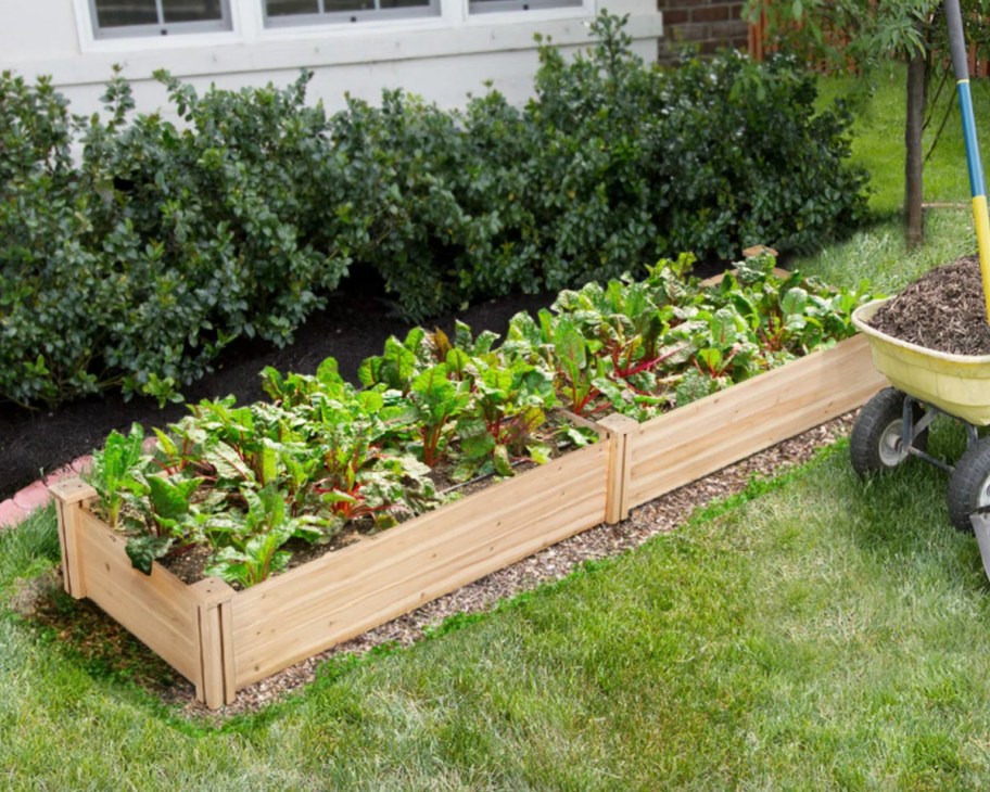 long wooden planter box with plants