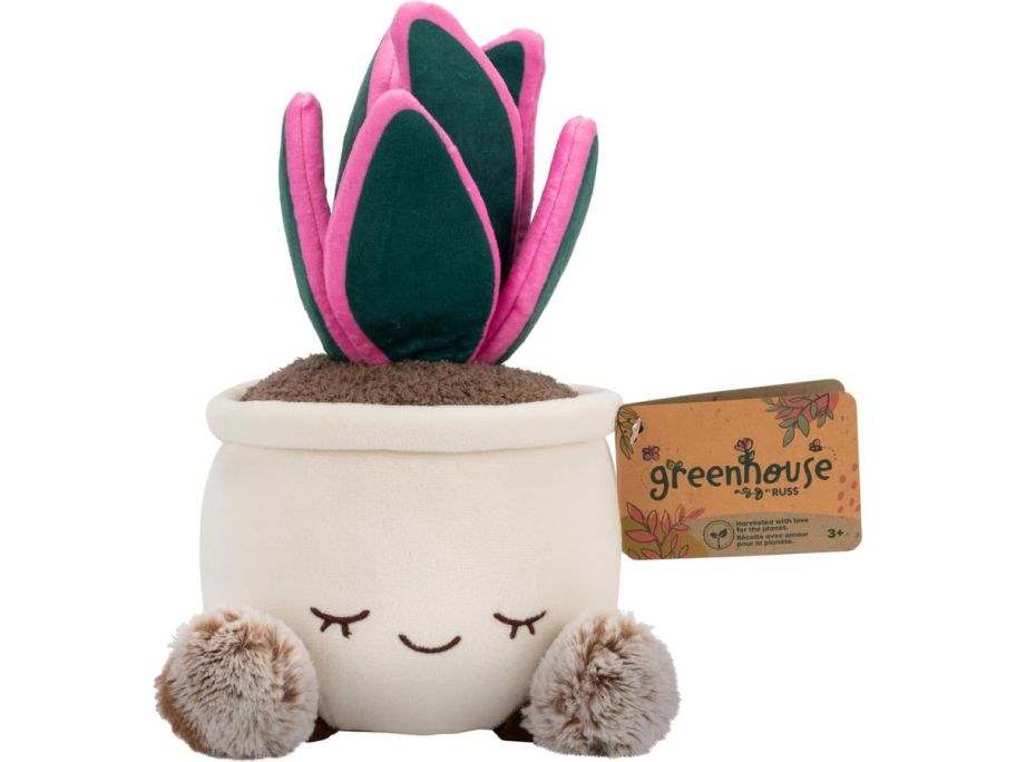 A succulent plush toy