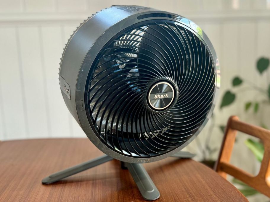 Shark Flexbreeze fan on a table