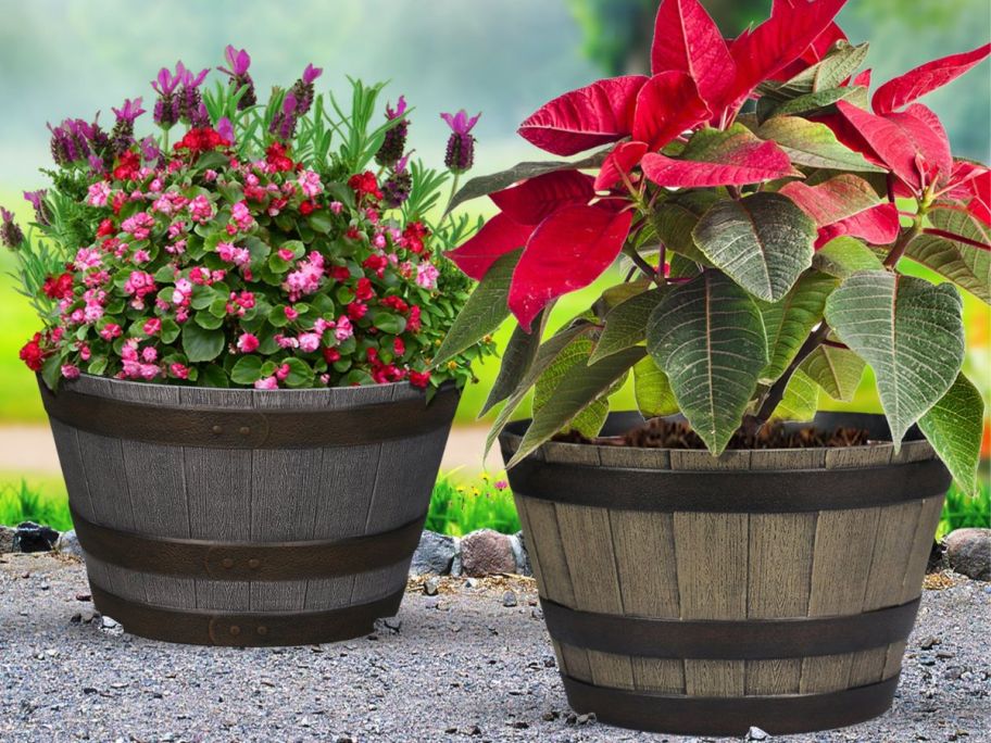 2 Style Selection Rustic Resin Planters filled with flowers