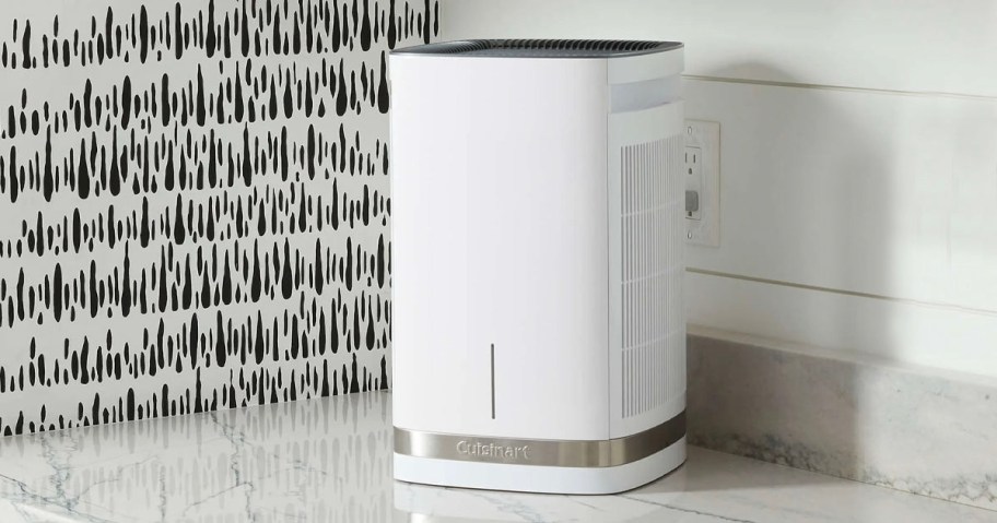 white and gray air purifier sitting on kitchen countertop