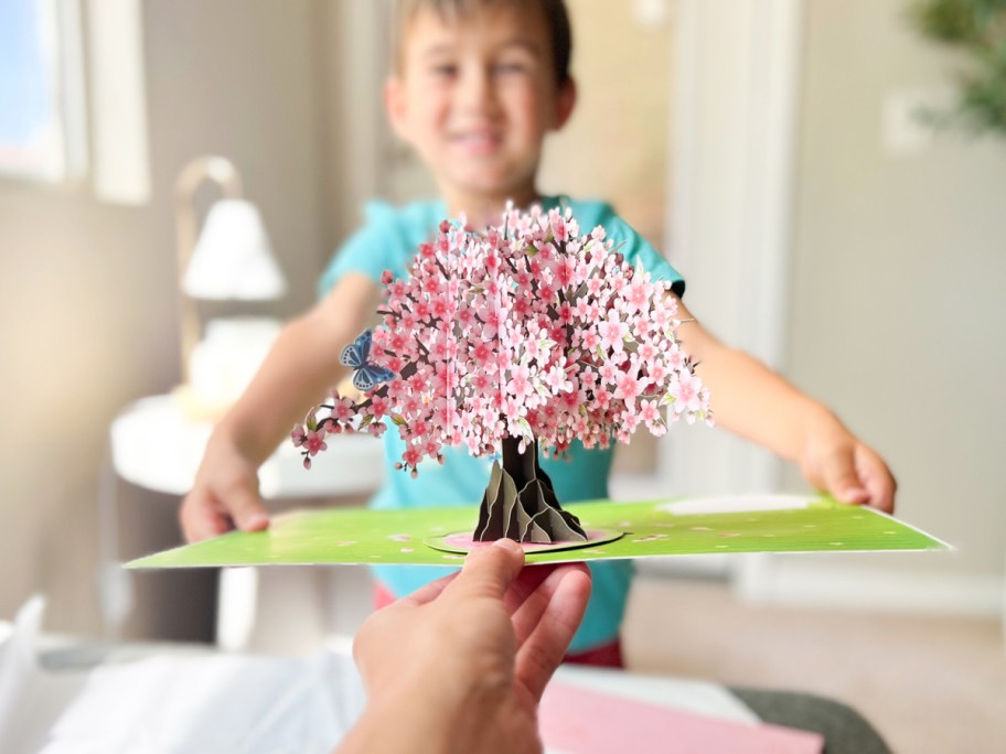 little boy holding cherry blossom tree card