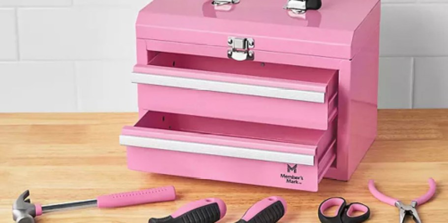 Mini Toolbox w/ 5-Piece Tool Set Only $19.98 on SamsClub.com (Gift Idea for Mother’s Day!)