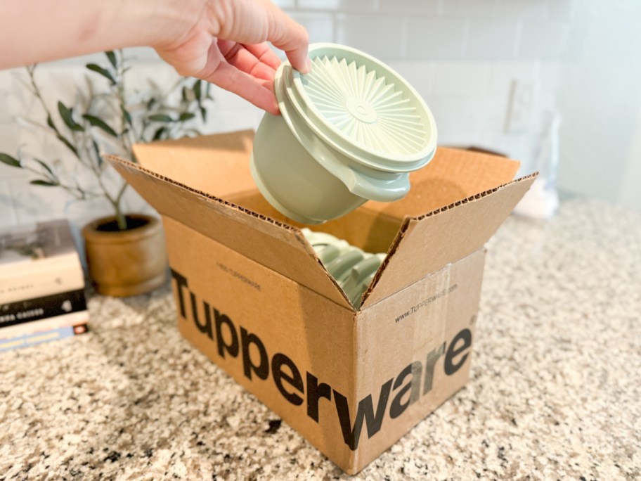 hand grabbing tuperware out of box