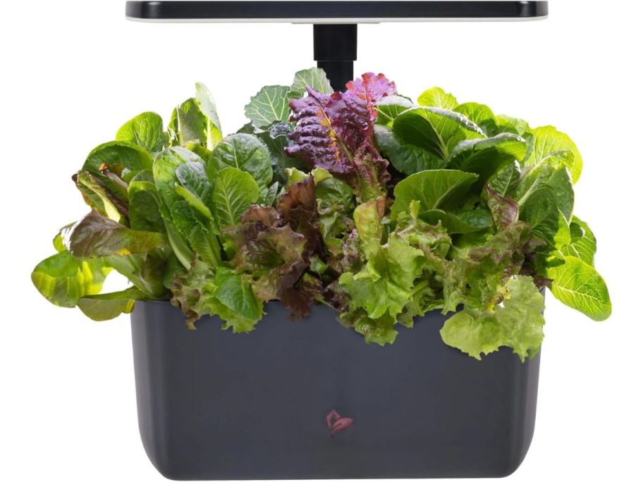 AeroGarden Harvest 2.0 Indoor Garden in black