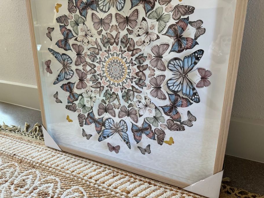 Butterfly Mandala Shadow Box Wall Art Pic