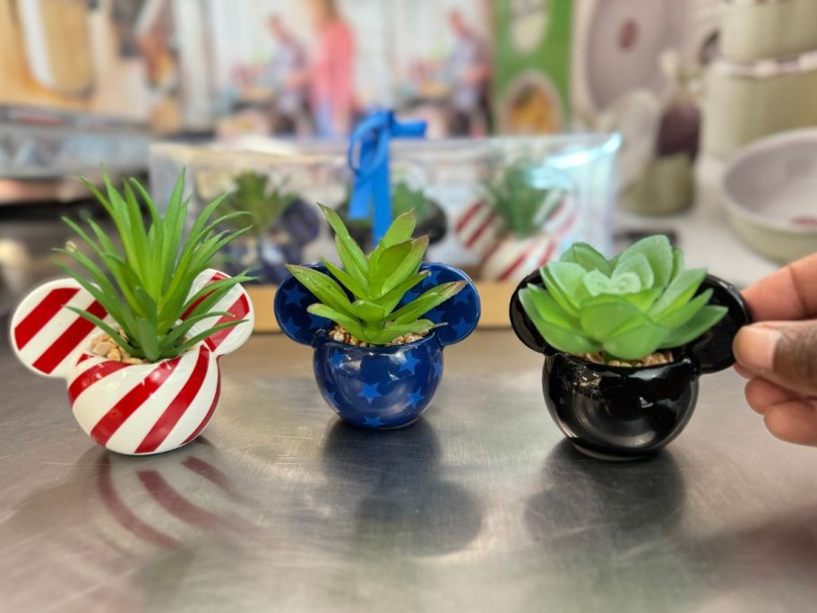 Celebrate Together Disney Mickey Mouse 3-Piece Faux Succulent Decor