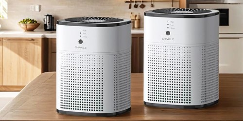 HEPA Air Purifiers w/ Oil Diffusers 2-Pack $59.84 Shipped on Amazon – Less Than $30 Each!