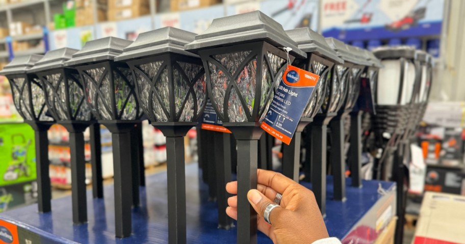 hand on an outdoor solar pathway light with more on display behind it