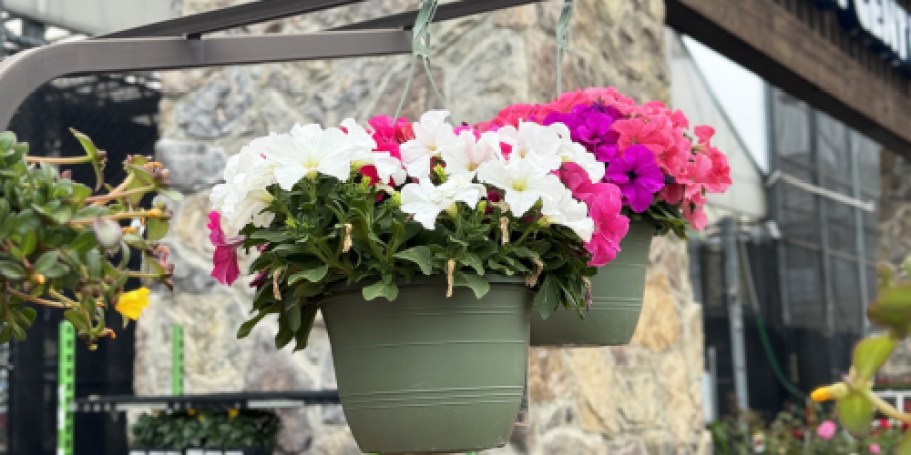 Lowe’s Hanging Flower Baskets Only $8 (Reg. $16)