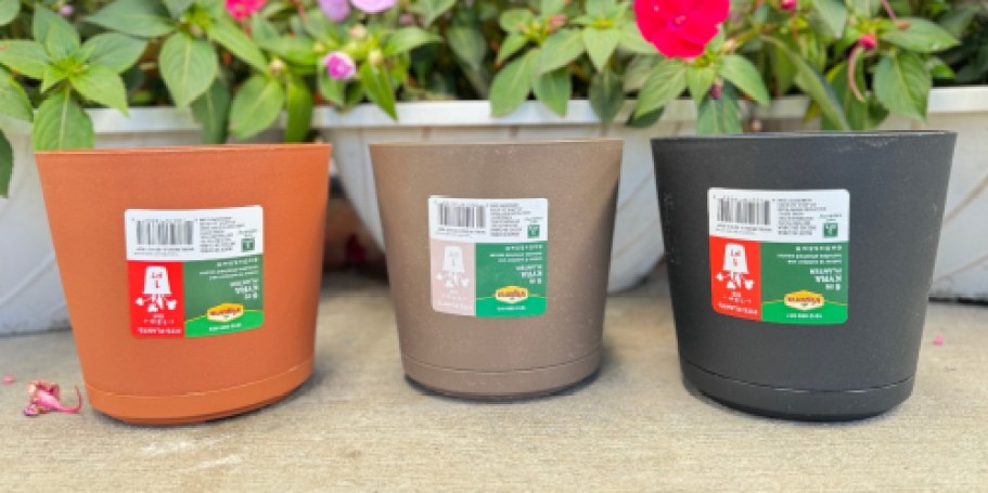 THREE 6″ Planters w/ Attached Saucers Just $3.93 Shipped on HomeDepot.com