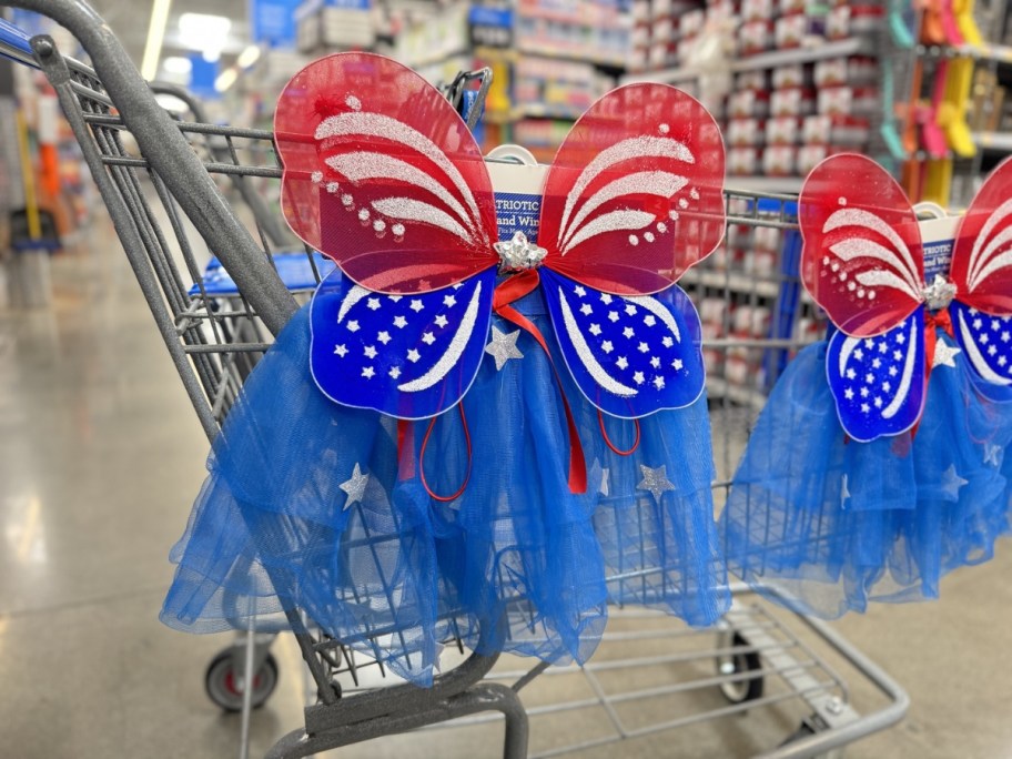 Way to Celebrate Adult-Size Patriotic Tutu & Wings