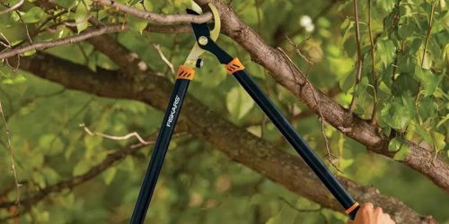 Fiskars Tree & Shrub Set Only $24.49 on Target.com | Includes Shears, Lopper, & Pruner!