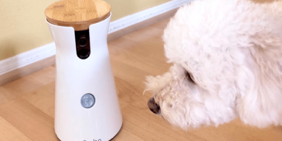 HUGE Price Drop: Furbo 360° Pet Camera $44 Shipped for Prime Members (Dispenses Treats, Too!)