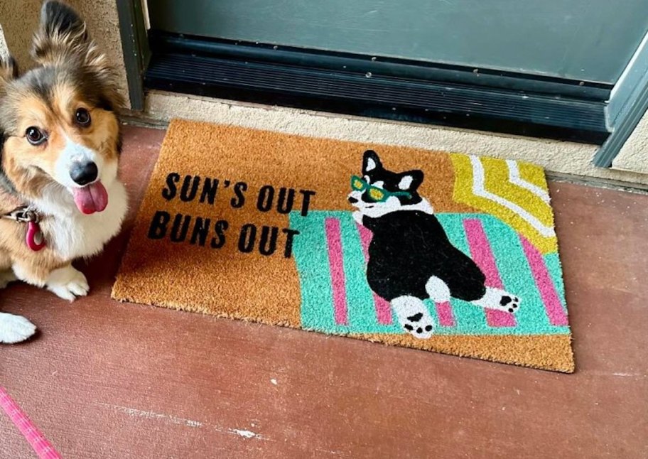 sun's out buns out doormat in front of blue door with dog sitting next to it