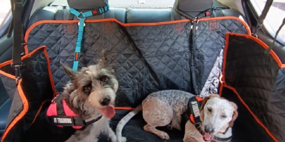 Dog Leash & Seatbelt 2-Pack Only $7.95 on Amazon | Attaches to Headrest or Seatbelt Buckle