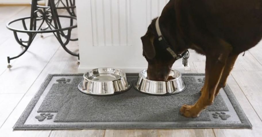 Dog eating from a bowl on a Cavalier Pet Mat