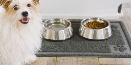 Waterproof Dog Bowl Mat Just $9.99 Shipped (Reg. $30) | Easy to Clean