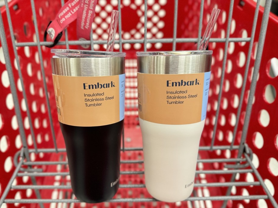 Embark 30oz Steel Straw Tumbler