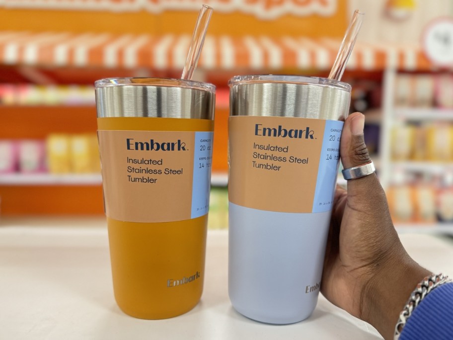 Embark 20oz Steel Straw Tumbler in 2 colors